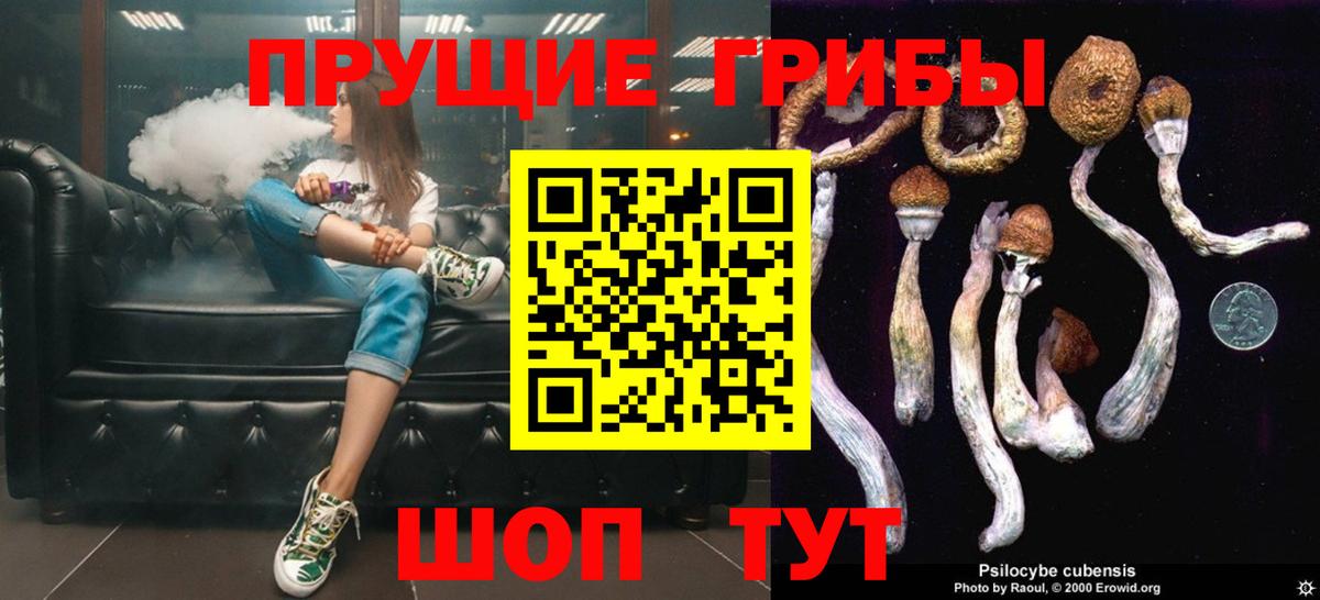 Галлюциногенные грибы MAGIC MUSHROOMS Ярославль